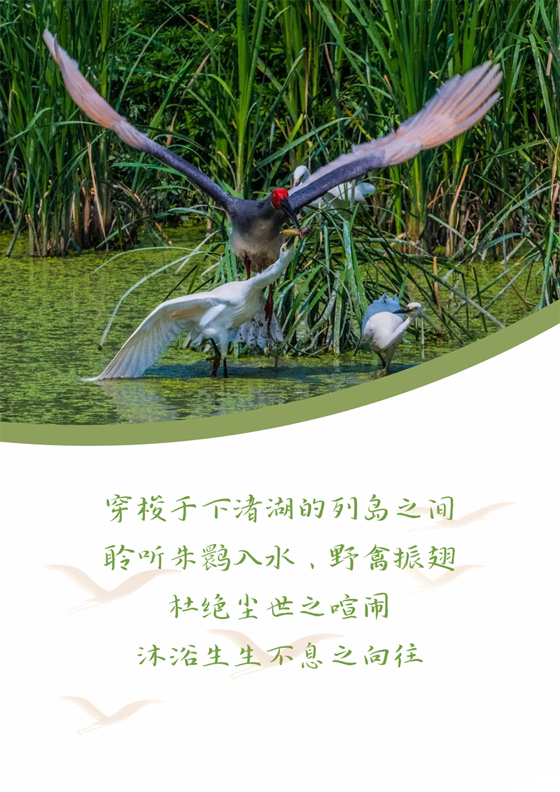 心心念廿 相伴德赢Vwin | 与德清相约 贺廿载诞辰